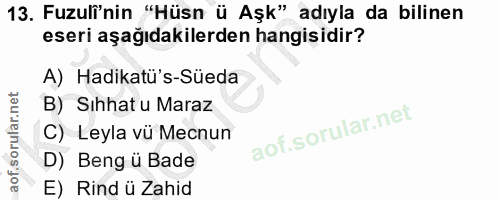Soru 13