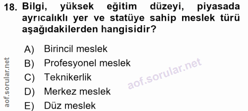 Soru 18