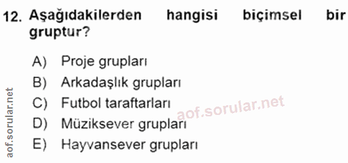 Soru 12