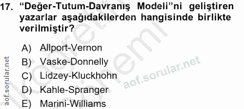 Soru 17