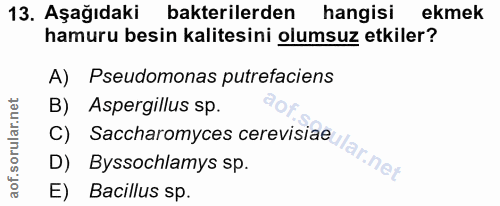 Soru 13