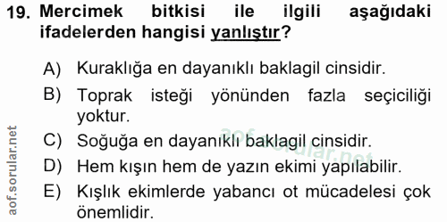Soru 19