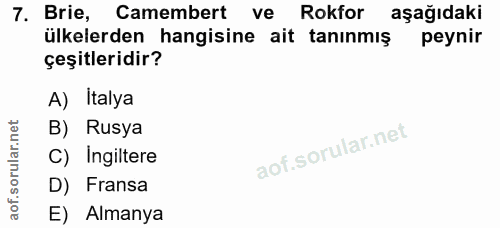 Soru 7