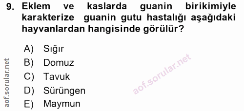 Soru 9