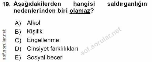 Soru 19