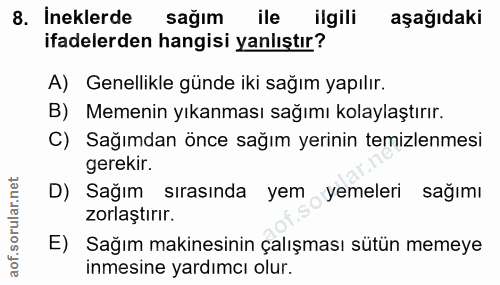 Soru 8