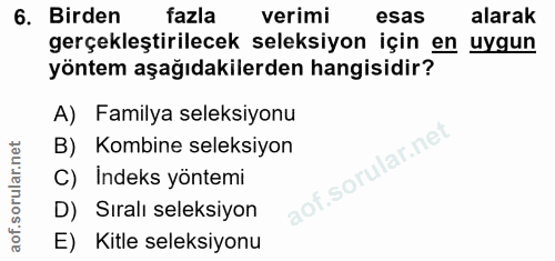 Soru 6