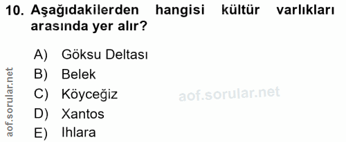 Soru 10
