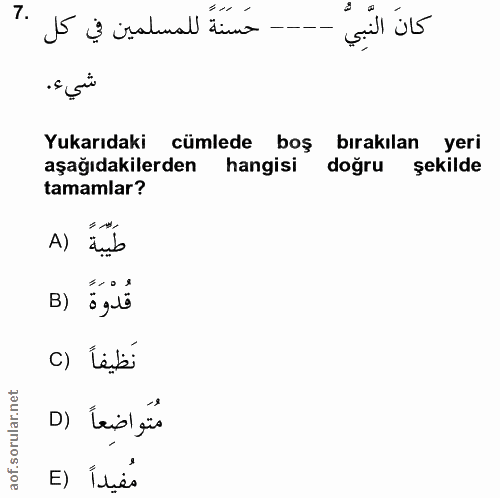 Soru 7