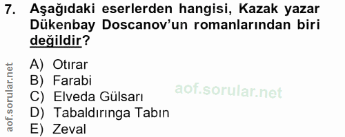 Soru 7
