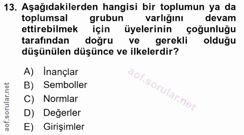 Soru 13