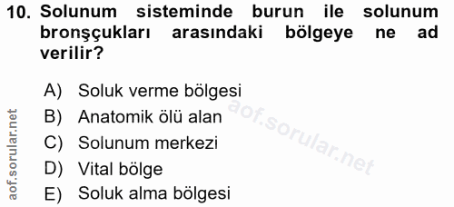 Soru 10