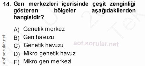 Soru 14