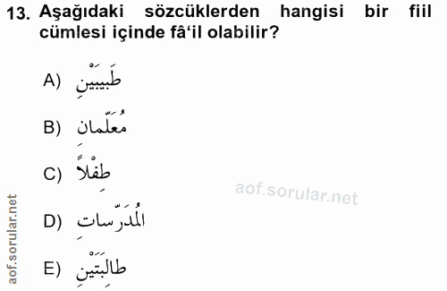 Soru 13