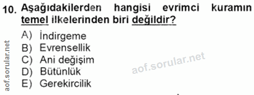 Soru 10