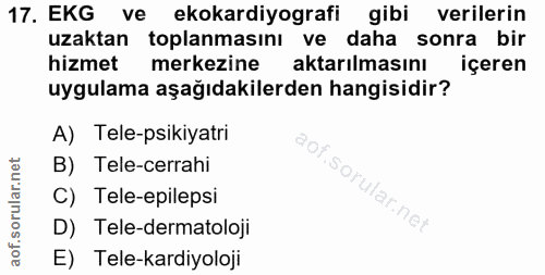 Soru 17