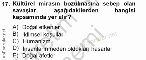 Soru 17