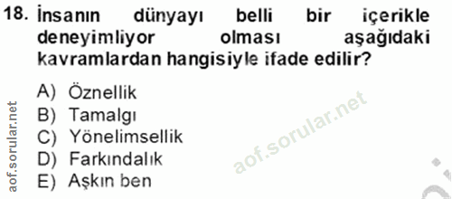 Soru 18