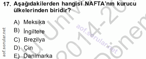 Soru 17