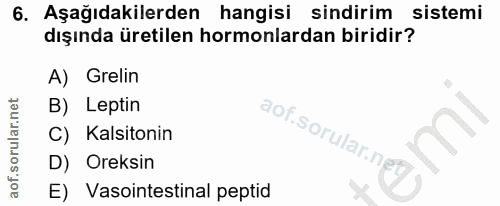 Soru 6