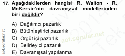 Soru 17