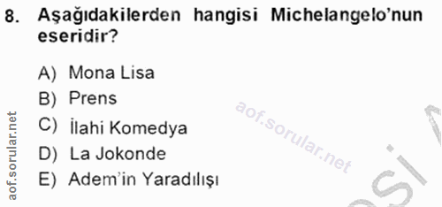 Soru 8