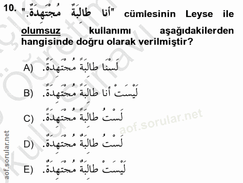 Soru 10