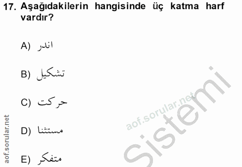 Soru 17