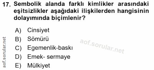Soru 17