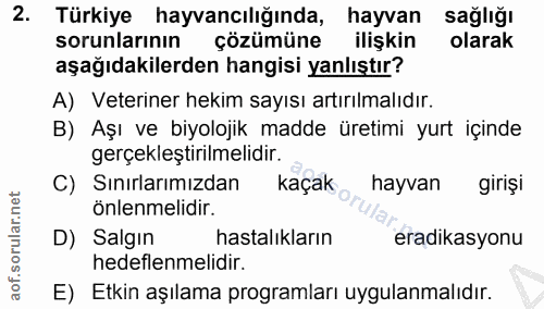 Soru 2