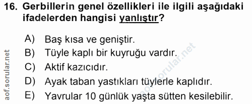 Soru 16