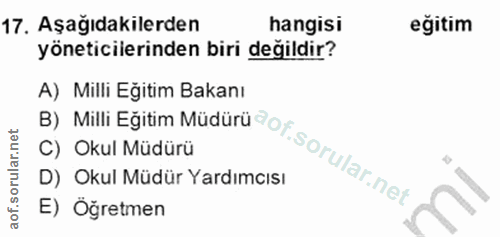 Soru 17