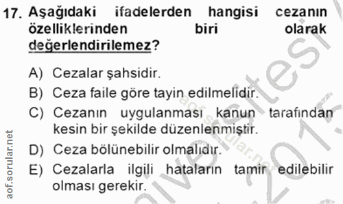 Soru 17