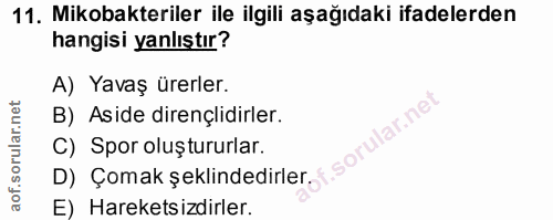Soru 11