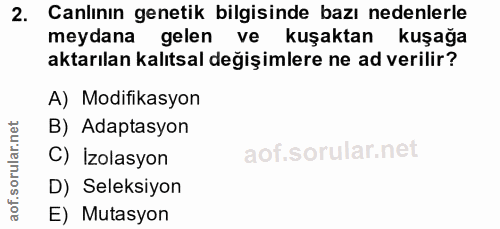 Soru 2