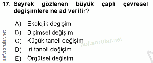Soru 17