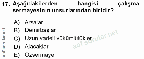 Soru 17