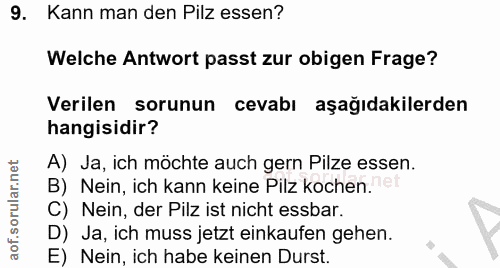 Soru 9