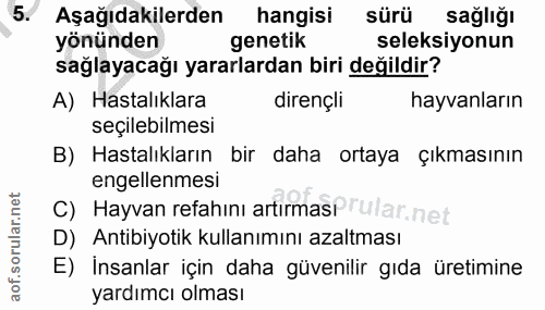 Soru 5