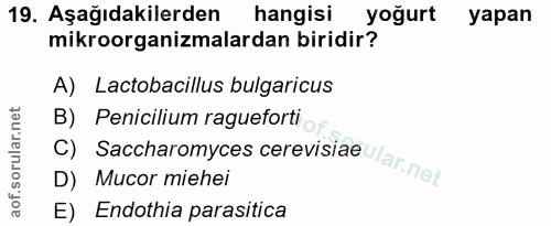 Soru 19