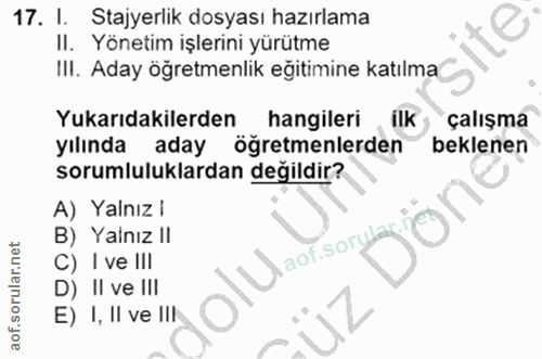 Soru 17