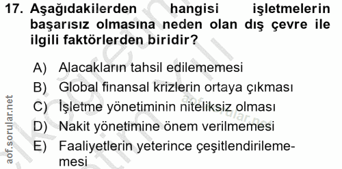 Soru 17
