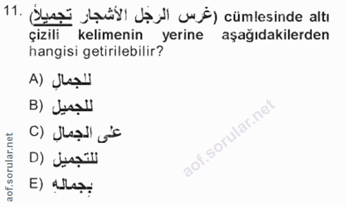 Soru 11
