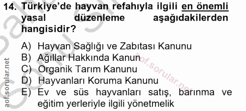 Soru 14