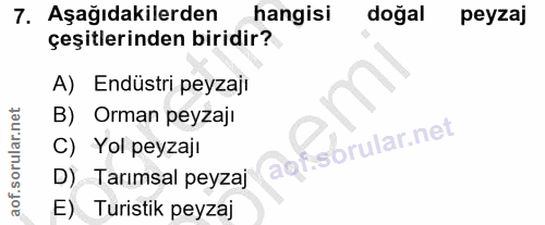 Soru 7