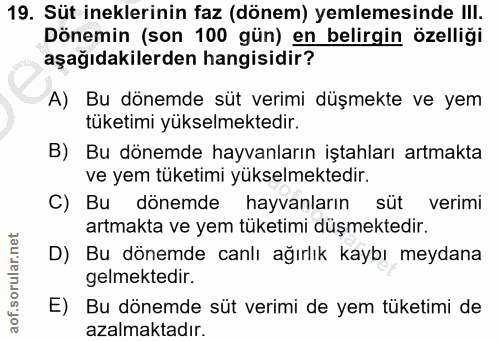 Soru 19