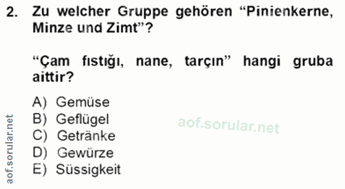 Soru 2