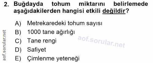 Soru 2