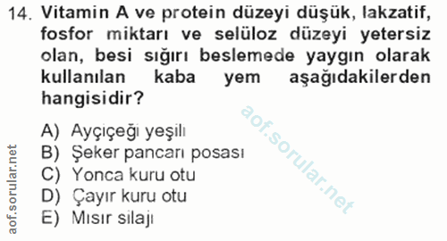 Soru 14