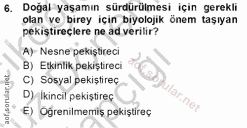 Soru 6